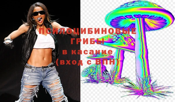 не бодяженный Бородино